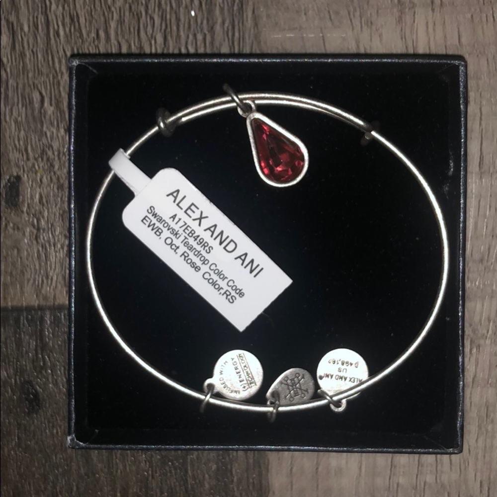 NWT Alexi and Ani Bangle